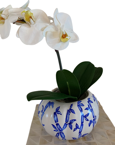 Pumpkin cachepot | petite blue bamboo