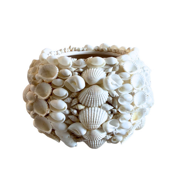 Shell Cachepot Medium