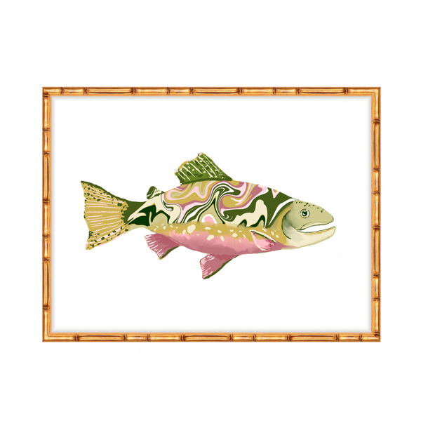 Marble Brook Trout Fish