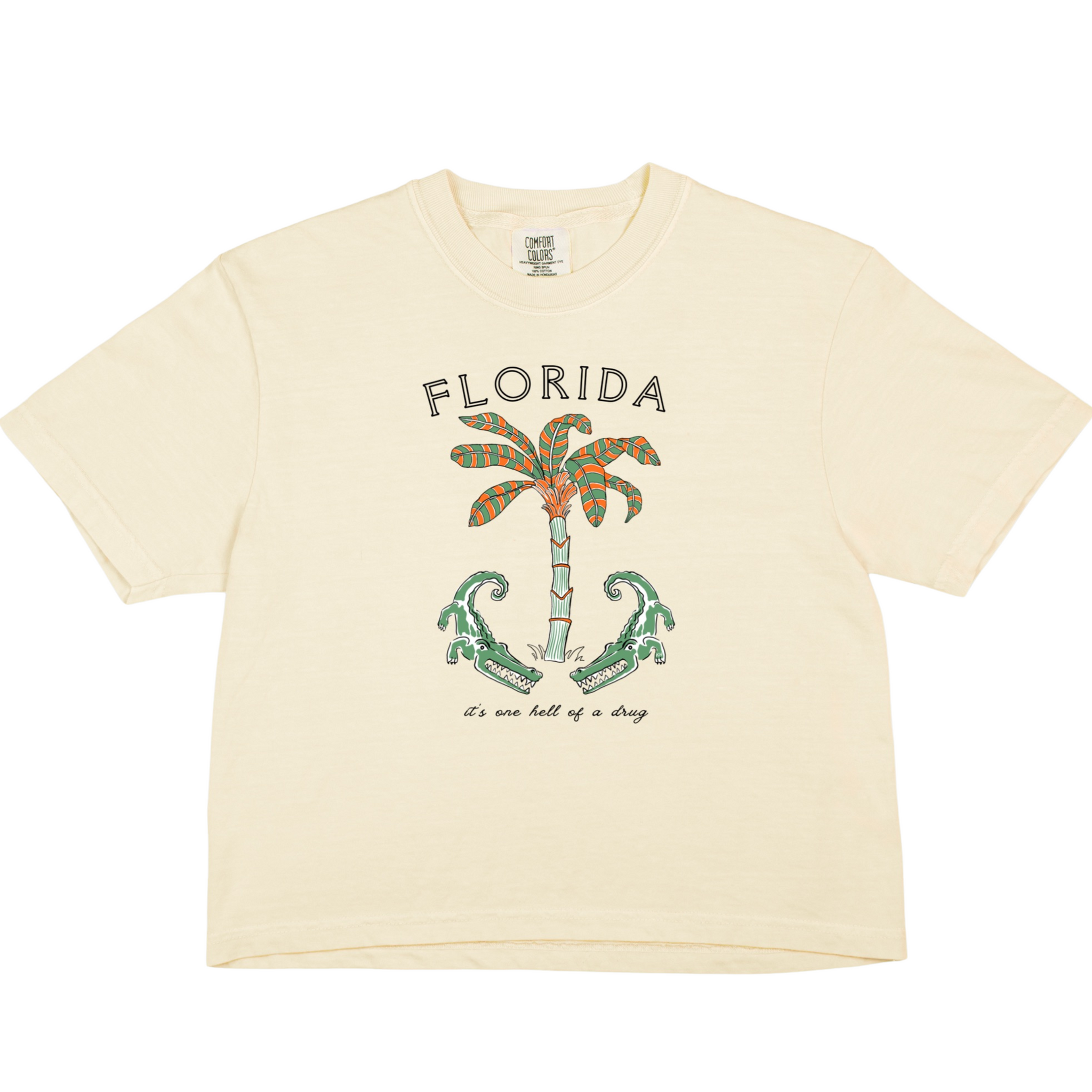 Vintage Florida Cropped Tee