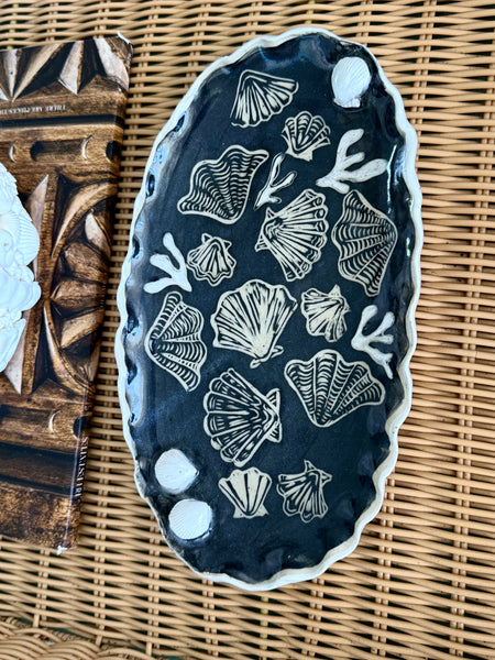 Shell Study Tray