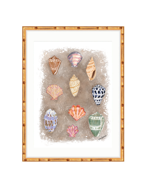 Seaside Treasures Fine Art Print