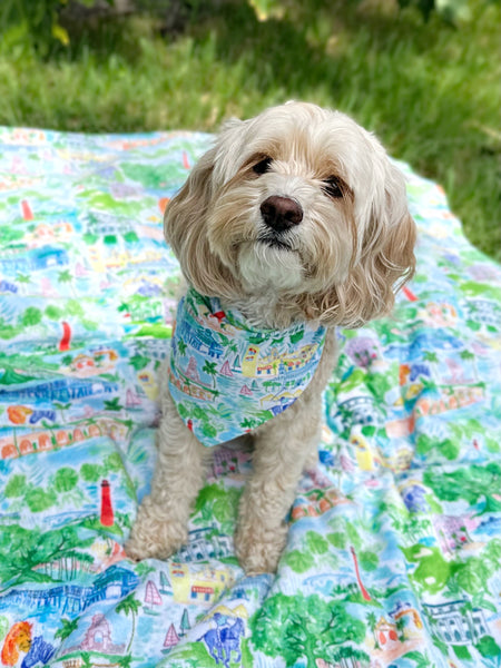 The Palm Beach Pet Bandana